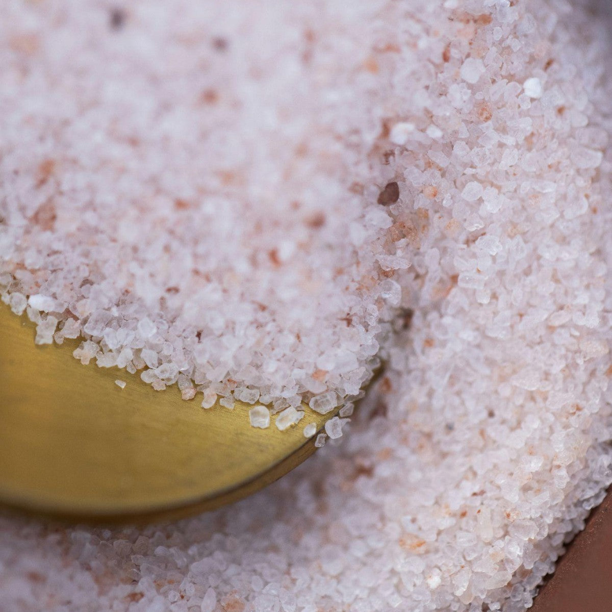 The Role of Electrolytes in Nutrient Absorption